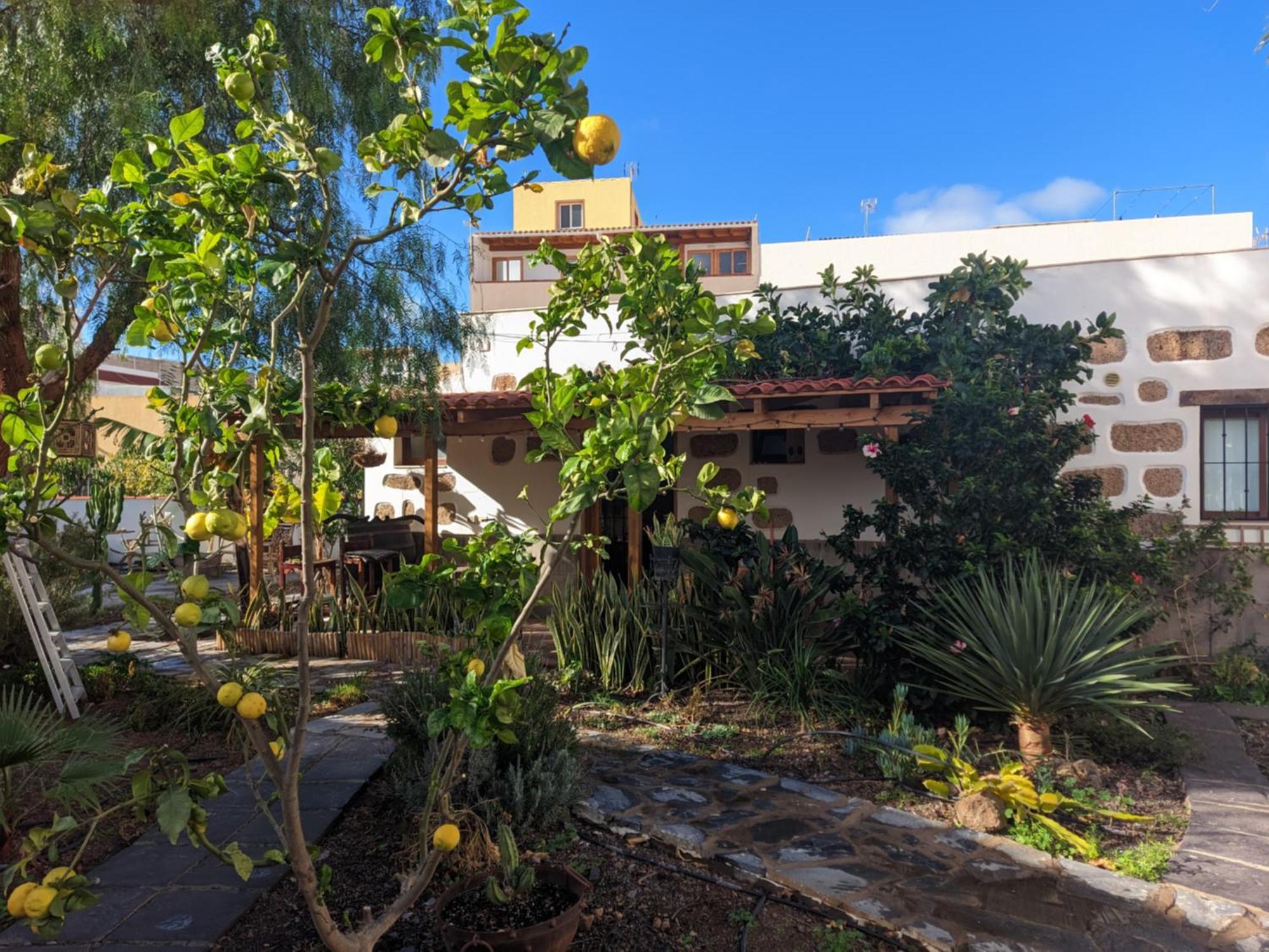 דירות ארונה Casa Roberta Agua מראה חיצוני תמונה