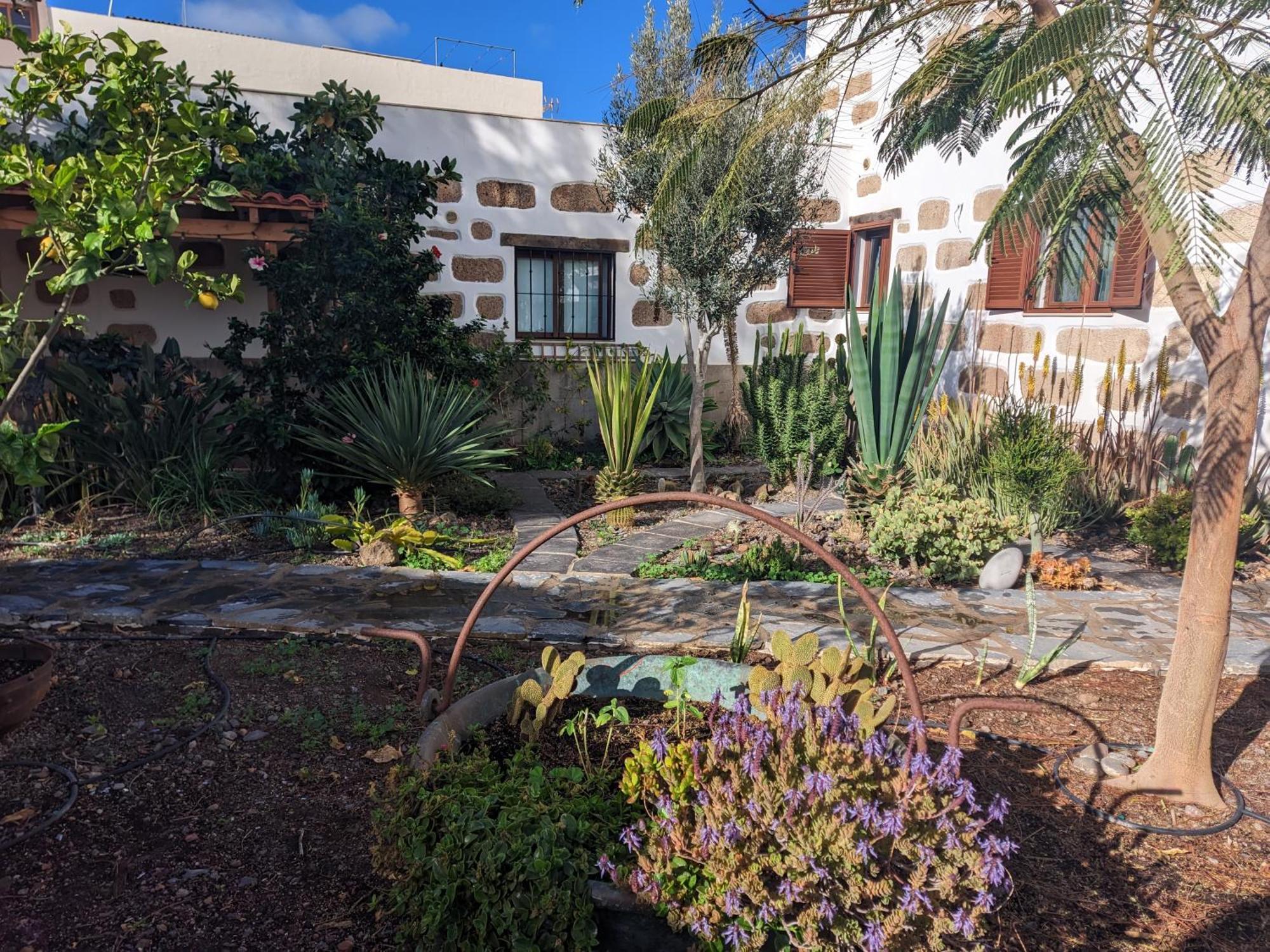 דירות ארונה Casa Roberta Agua מראה חיצוני תמונה
