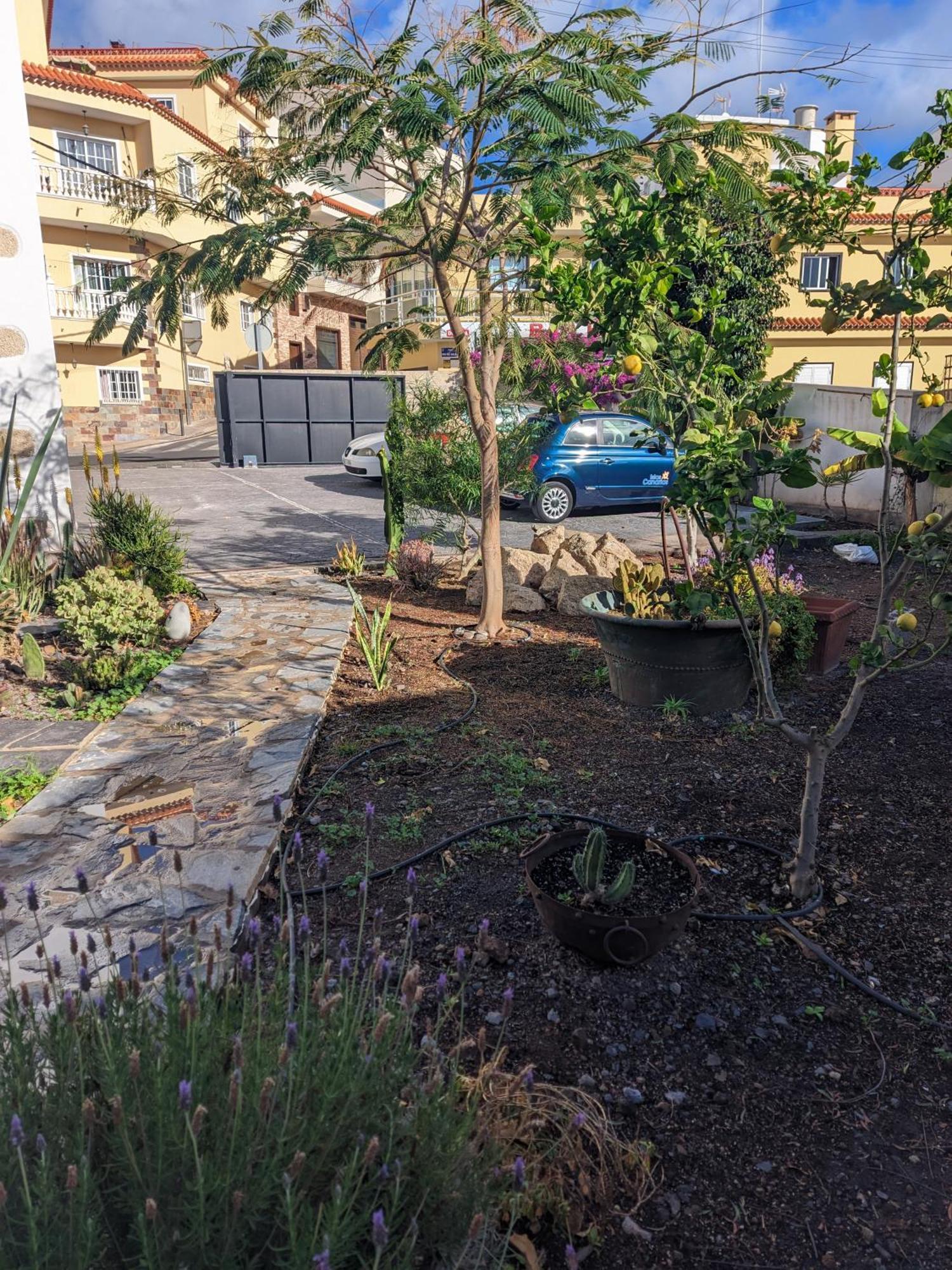 דירות ארונה Casa Roberta Agua מראה חיצוני תמונה